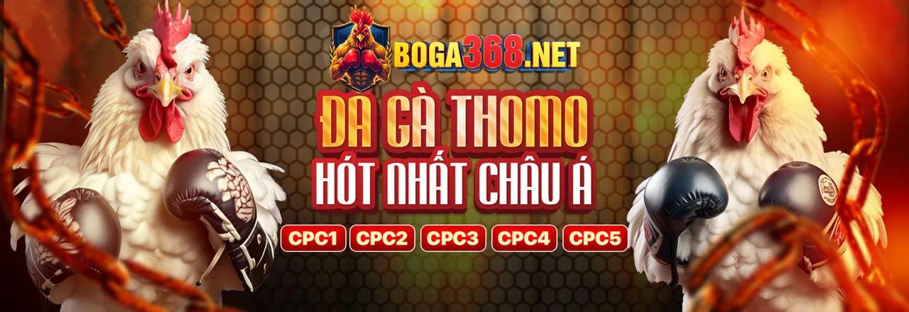 Hình ảnh chính hướng dẫn cá cược thể thao nem88